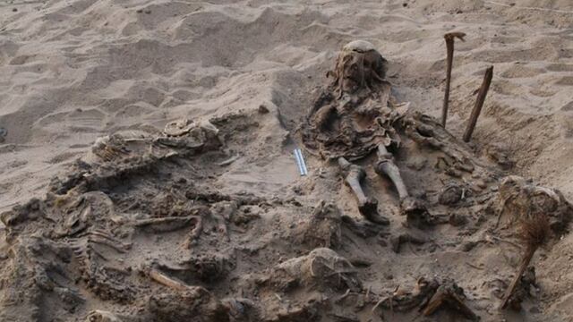 Restos del niño enterrado con 142 perros