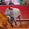 VIDEO: Torero mexicano sufre terrible cornada que le destroza el esfínter