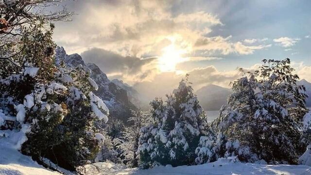 Conoce las mejores fotos y videos tras la caída de nieve en el estado de Durango