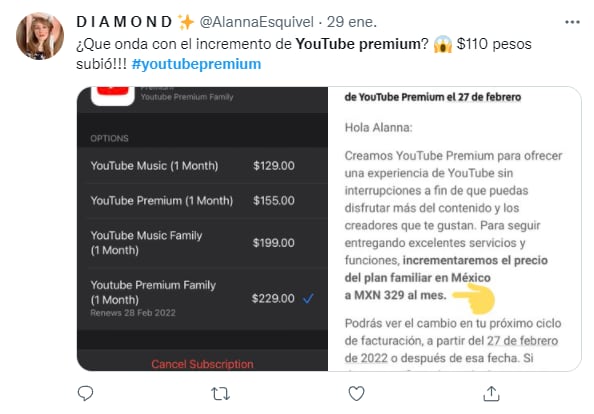Reacción al aumento de YouTube Premium