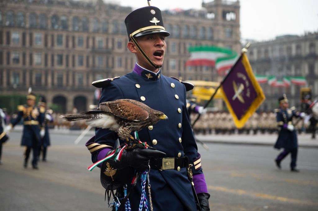 Mejores fotos del desfile del 20 de noviembre