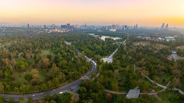 Área verde predio en Chapultepec