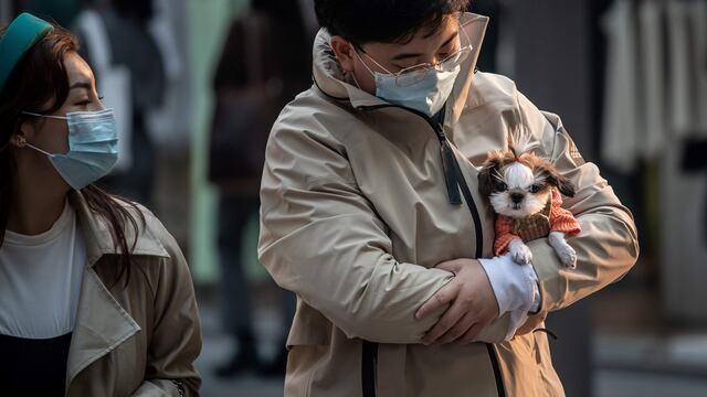Perros y gatos dejan lista de animales comestibles.