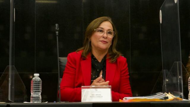 Rocío Nahle, secretaria de Energía