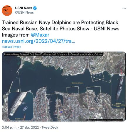 Rusia estaría utilizando delfines militares