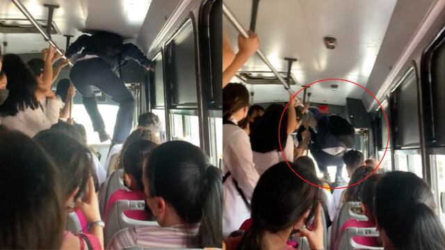 Trepa los asientos del camión lleno para TikTok