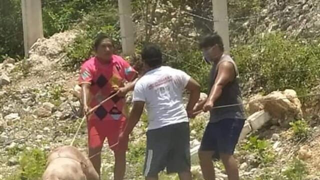 Rapiña en Campeche