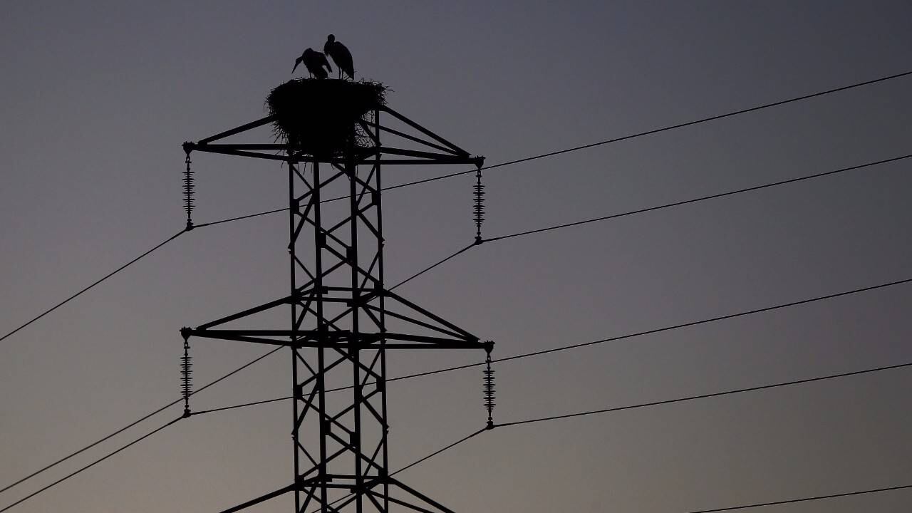 ¿Qué pasa en Nigeria? Sufren apagón a nivel nacional tras colapso de la red eléctrica