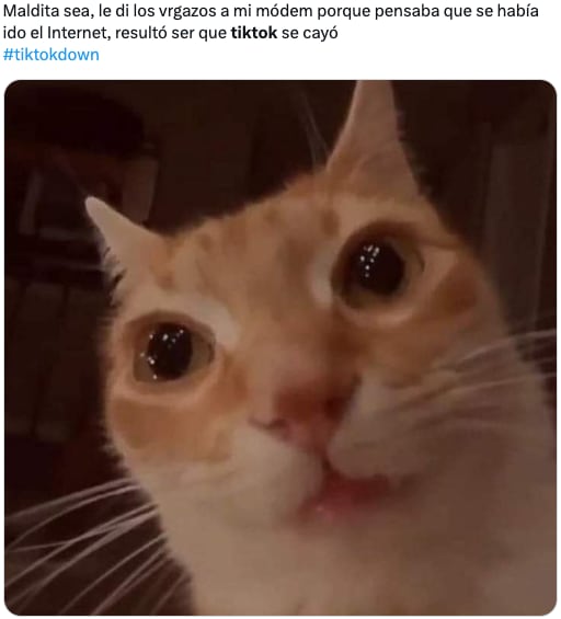 Memes de la caída de TikTok