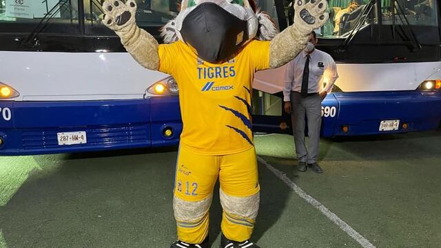 Madcota del Club Tigres