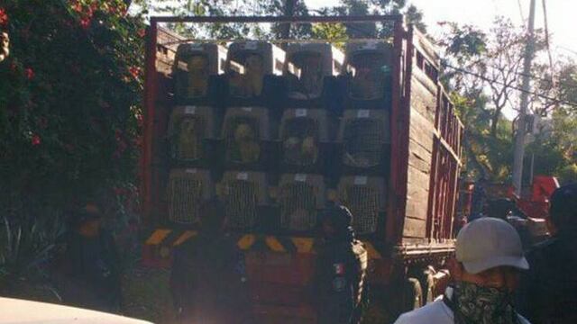 Desalojan refugio para perros