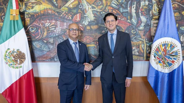 Roberto Velasco se reúne con el secretario de la OEA