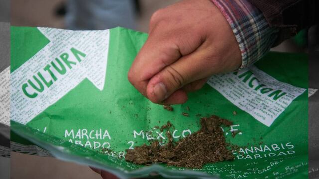 El debate contempla la posibilidad de modificar la Ley General de Salud, el Código Federal Penal y la ley Federal Contra la Delincuencia Organizada.
