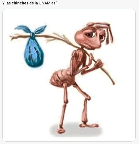 Plaga de chinches de la UNAM en CDMX desata los memes ansiosos de usuarios