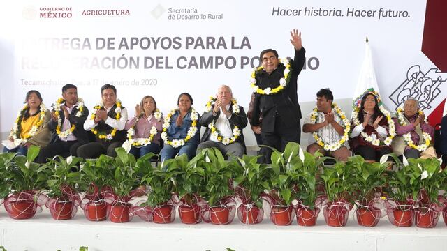 El gobernador Miguel Barbosa Huerta, fue acompañado del secretario de Agricultura y Desarrollo Rural, Manuel Villalobos Arámbula.