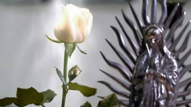 La Rosa de Guadalupe