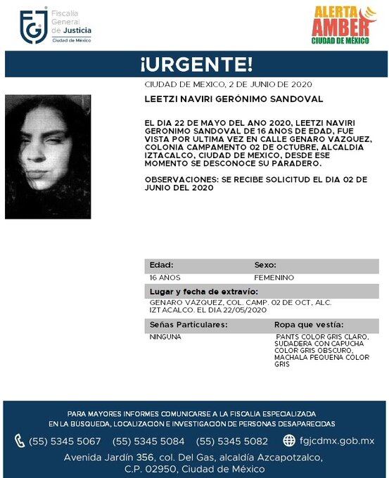 Ficha de búsqueda.