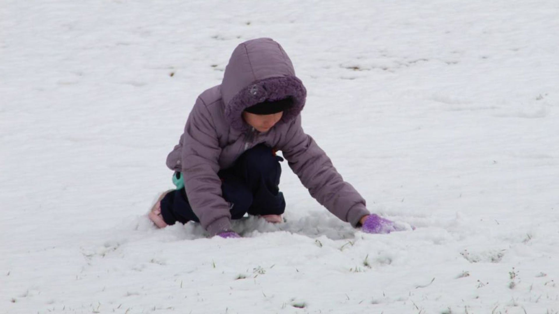 Chihuahua suspende clases el 26 y 27 de enero por tormenta invernal