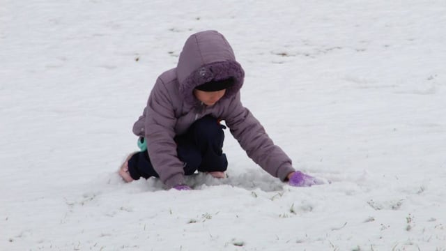 Chihuahua suspende clases por tormenta invernal.