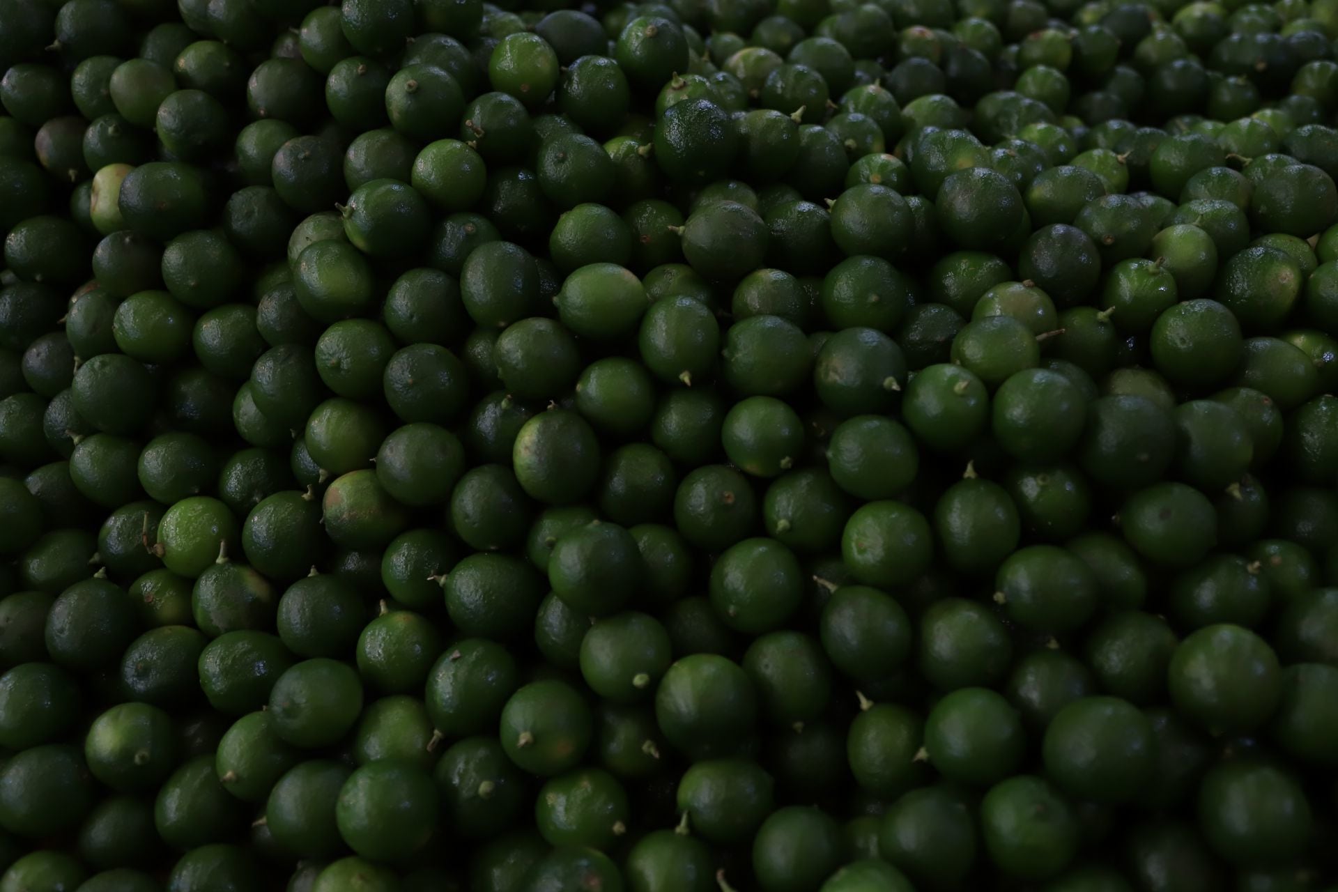 Venta de limón