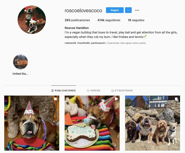 Roscoe, mascota de Lewis Hamilton