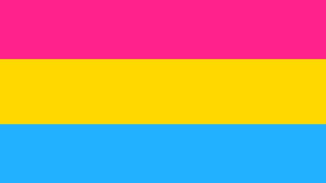Bandera de la pansexualidad
