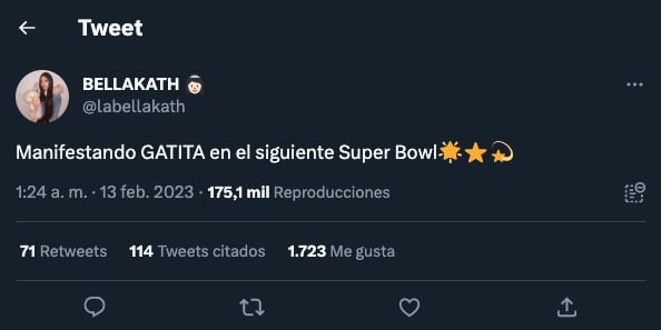 Bellakath quiere cantar 'Gatita' en el próximo medio tiempo del Super Bowl 2024