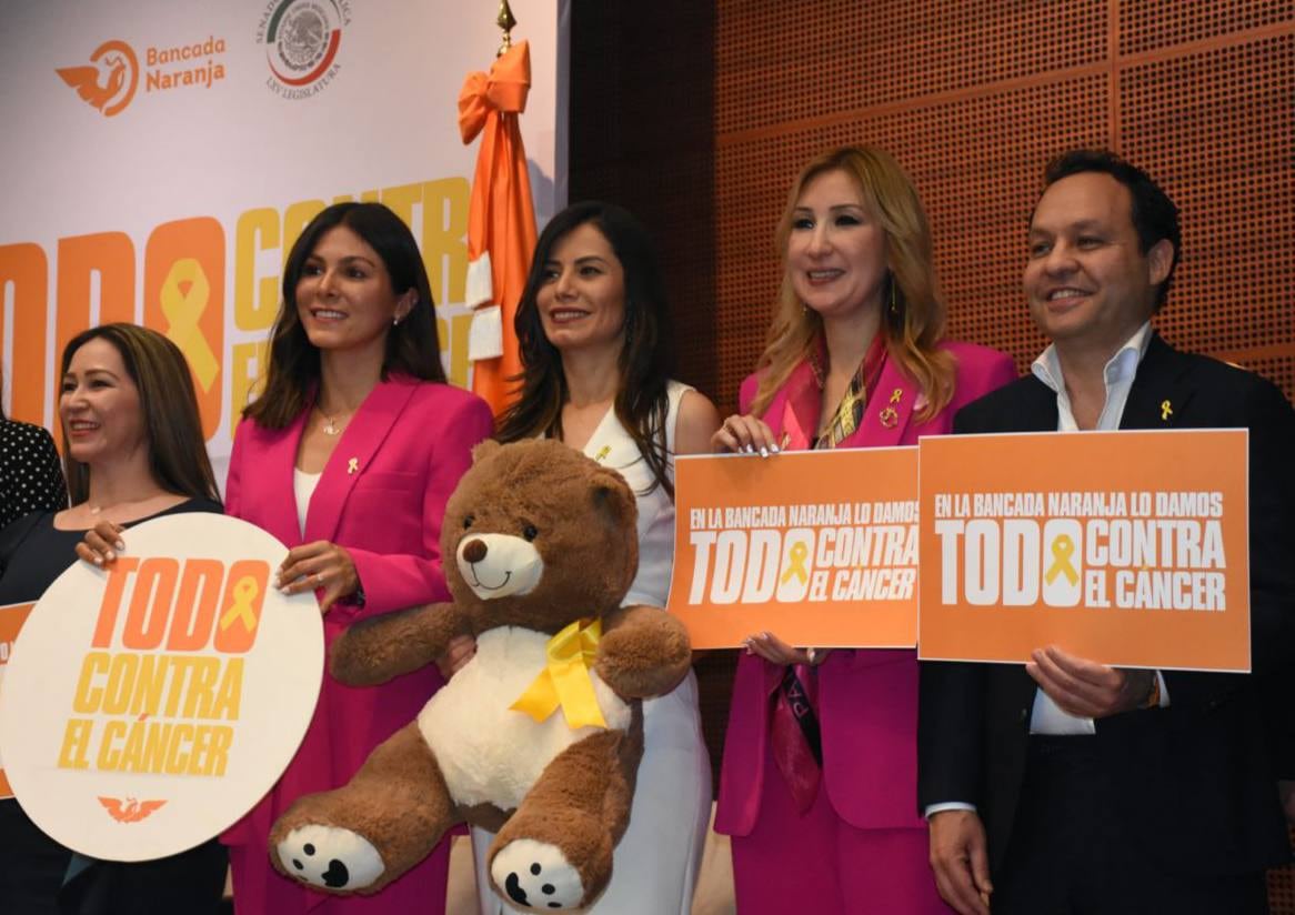 Clemente Castañeda presentó la iniciativa “infancias libres de cáncer” en la Cámara de Senadores