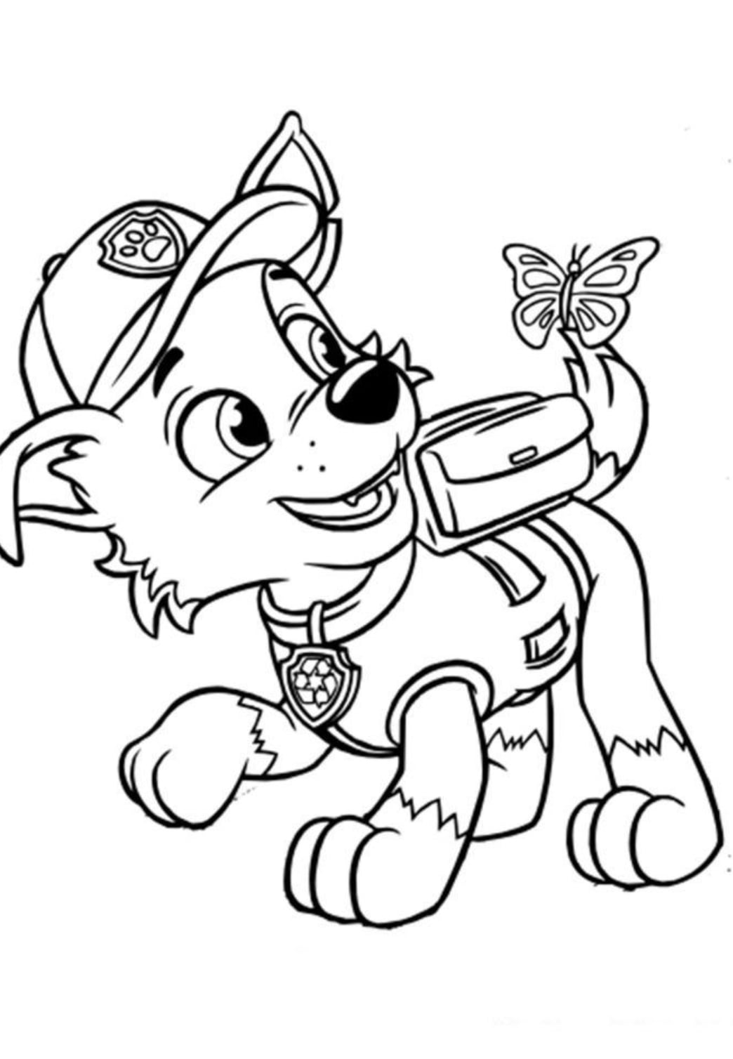 Rocky de Paw Patrol de primavera con mariposa