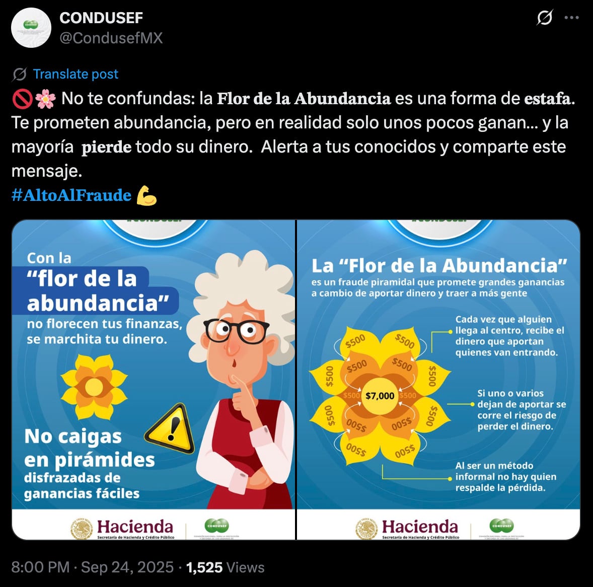 Estafa Flor de la Abundancia