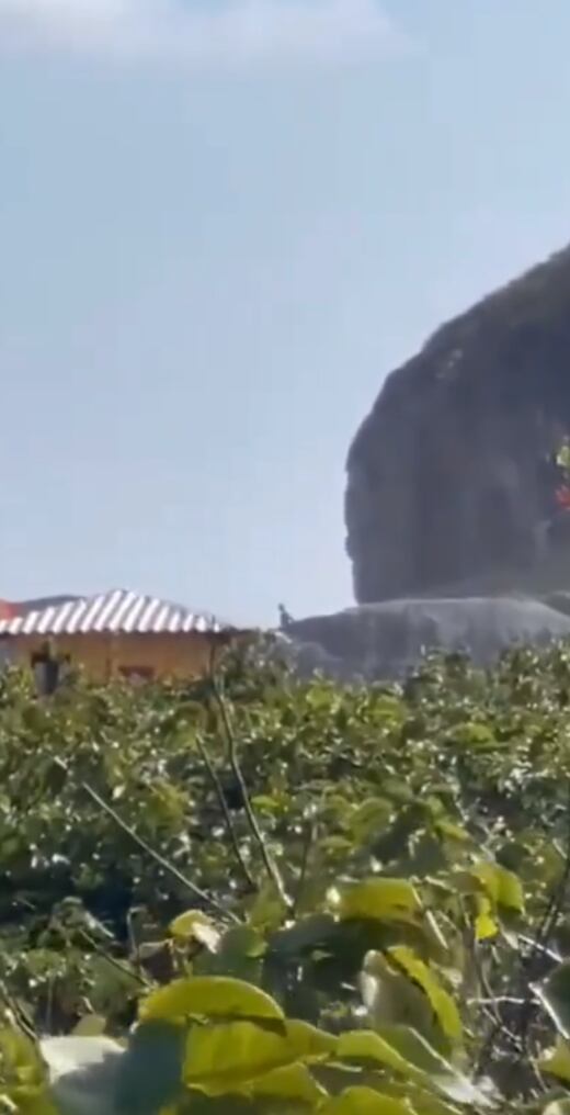 Captan criaturas gigantes de 4 metros de altura en Brasil