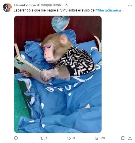 Memes por la prueba de la alerta sísmica