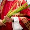¿Qué pasó el Domingo de Ramos? Esto dice la iglesia católica del inicio de la Semana Santa