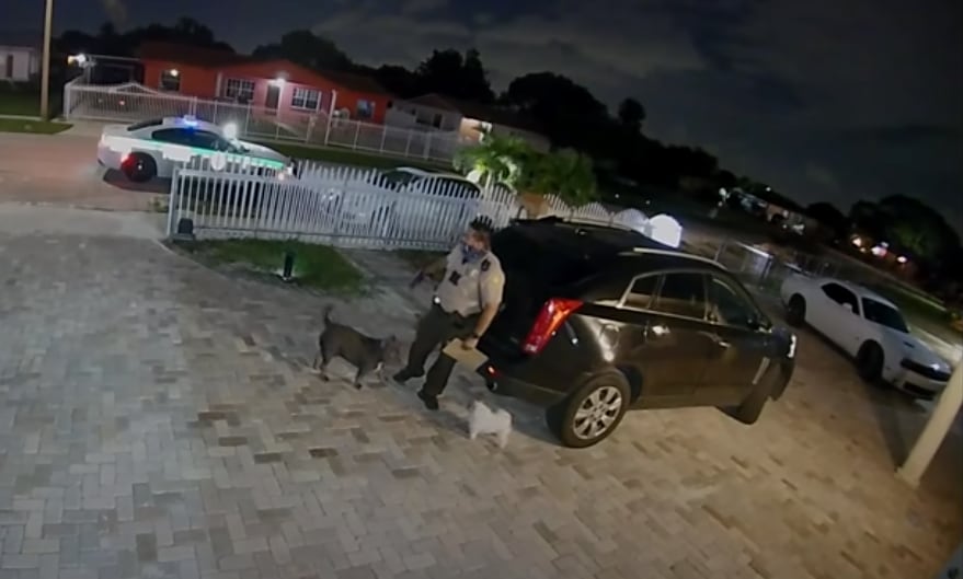 Policía mata perro de ocho meses