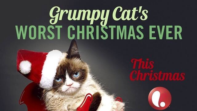FOTO: Facebook Grumpy Cat Oficial