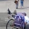 Sergio Mayer se sube a silla de ruedas y se cae (VIDEO)