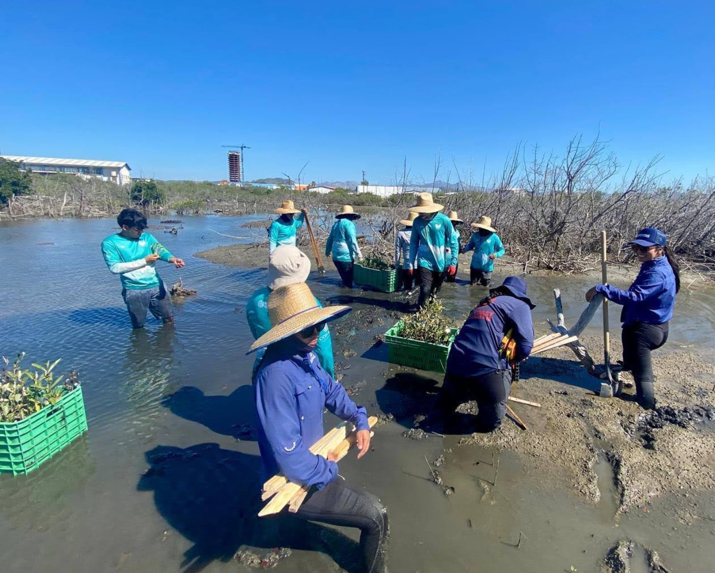Guardianas del Conchalito y los Mangles del Manglito