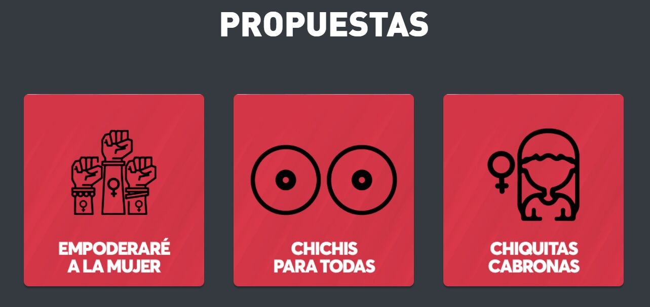 Propuestas de Rocío Pino.
