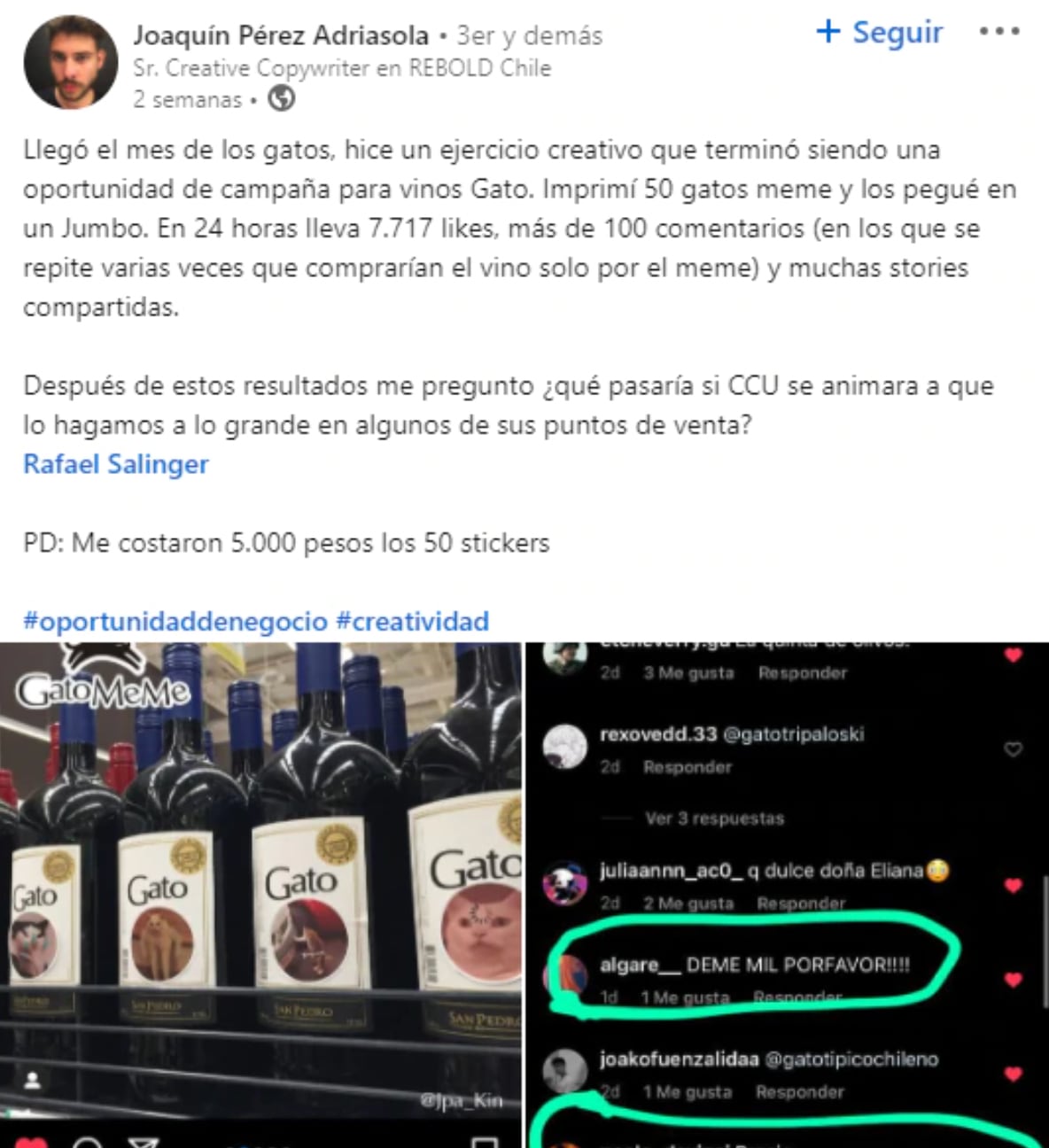 Botellas de vino con memes de gatos