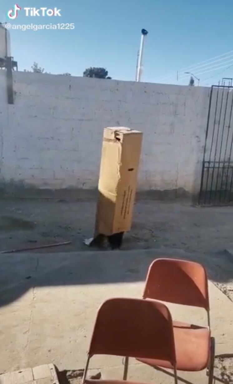 El chico caja de Ciudad Juárez