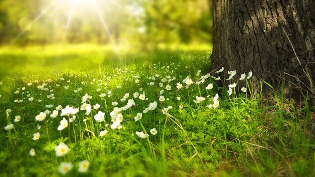 ¿Cuándo entra la primavera 2025 en México? Equinoccio, día y hora exacta