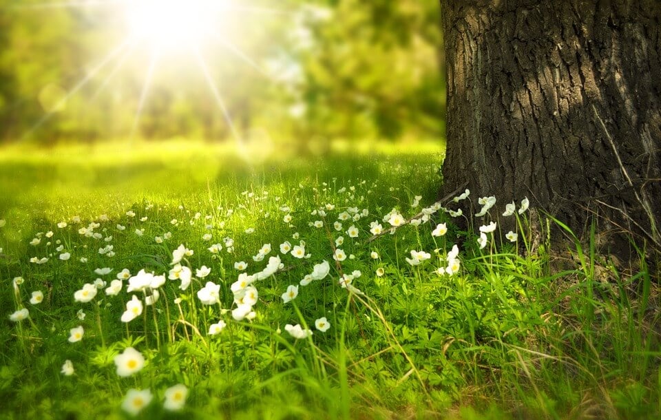 ¿Cuándo entra la primavera 2025 en México? Equinoccio, día y hora exacta