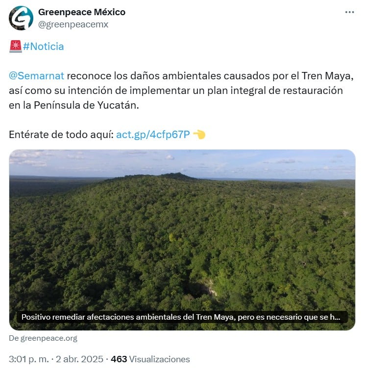 Semarnat reconoce daño ambiental que dejó Tren Maya