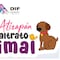 Pedro Rodríguez invita a participar en el Concurso de Dibujo Infantil Atizapán sin Maltrato Animal; esta es la fecha límite