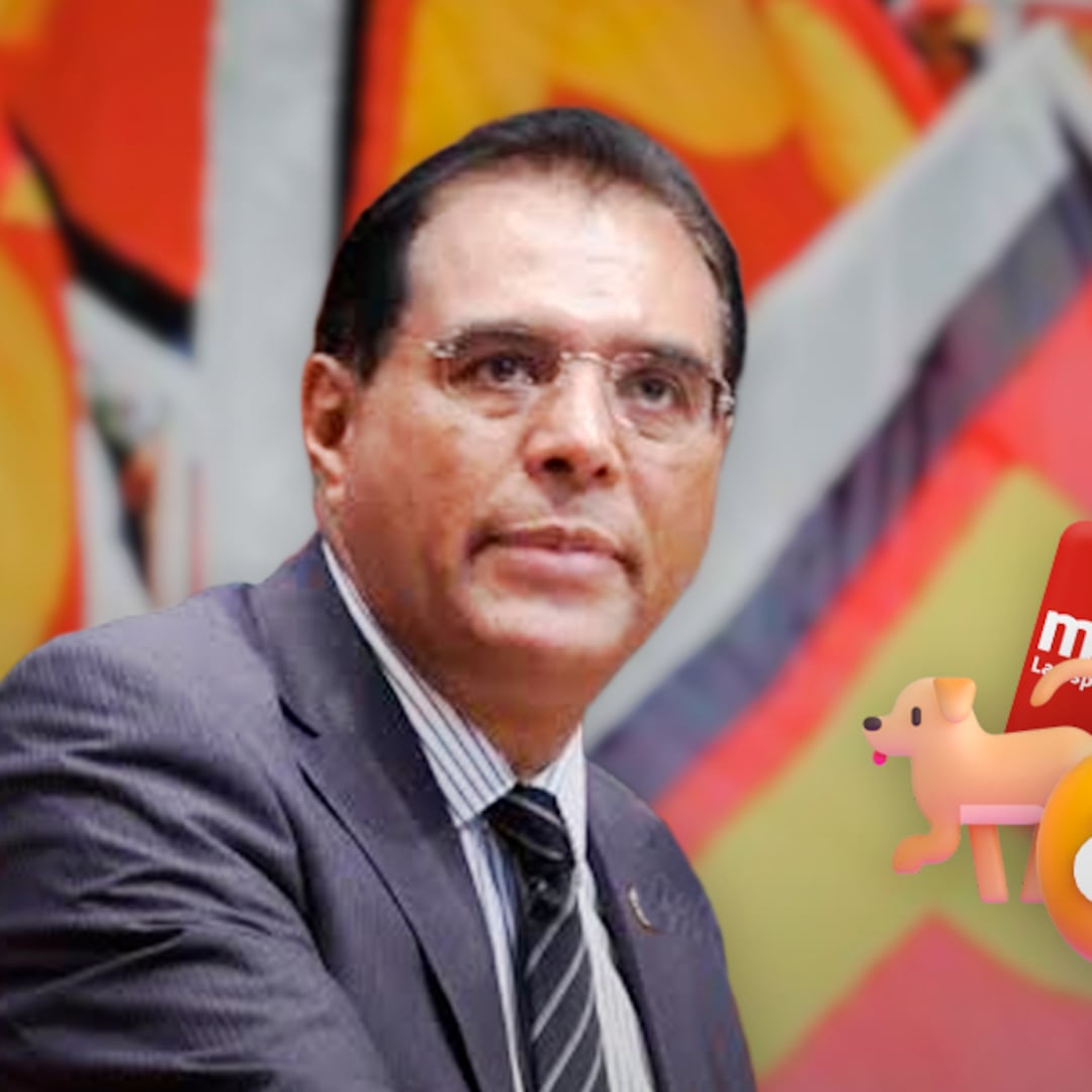 PT acusa a Morena de tratarlos “como perros” rumbo a elecciones 2027