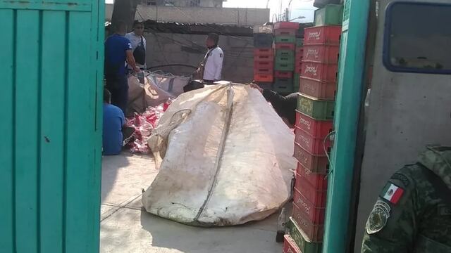 Otra fábrica de Coca Cola pirata, ahora en el Edomex