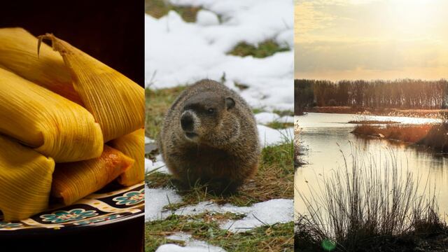 Este 2 de febrero es el Día de la Candelaria, Día de la Marmota y Día Mundial de los Humedales