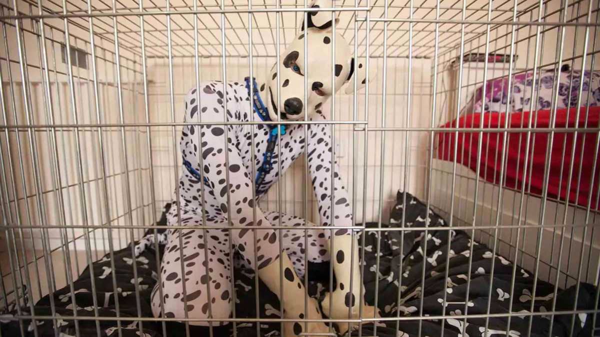 Tom Peters, transespecie