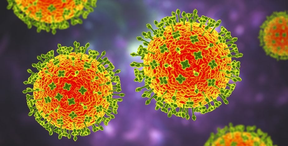 Henipavirus
