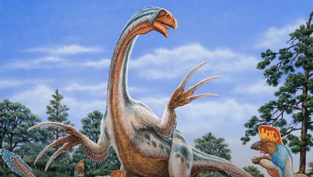 Terizinosaurio, nueva especie encontrada en Japón